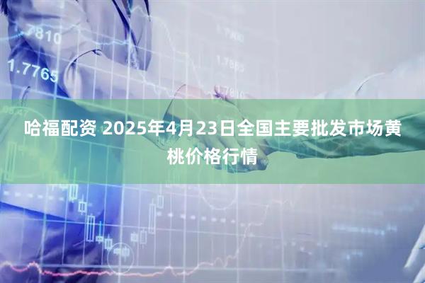 哈福配资 2025年4月23日全国主要批发市场黄桃价格行情