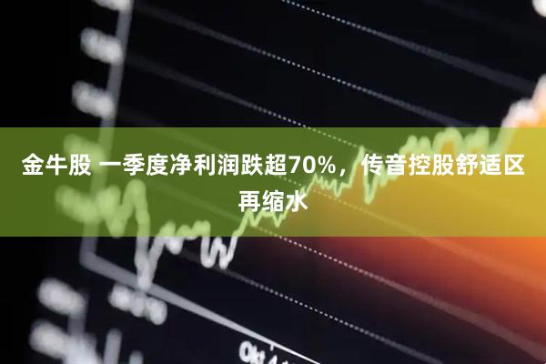 金牛股 一季度净利润跌超70%，传音控股舒适区再缩水