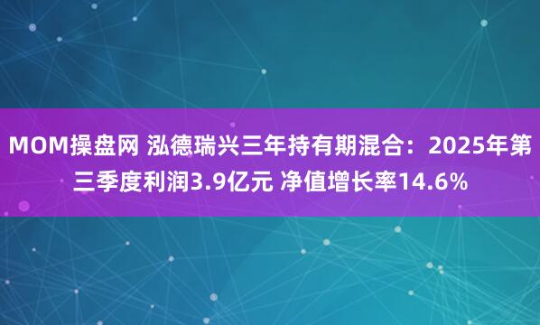 MOM操盘网 泓德瑞兴三年持有期混合：2025年第三季度利润3.9亿元 净值增长率14.6%