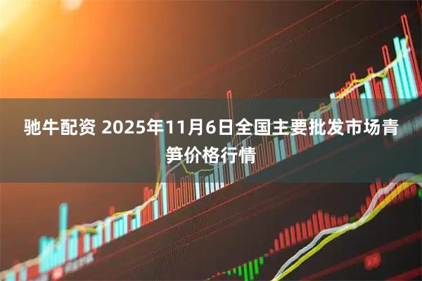 驰牛配资 2025年11月6日全国主要批发市场青笋价格行情