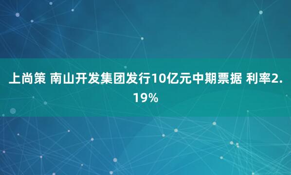 上尚策 南山开发集团发行10亿元中期票据 利率2.19%