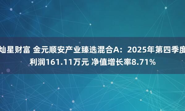 灿星财富 金元顺安产业臻选混合A：2025年第四季度利润161.11万元 净值增长率8.71%