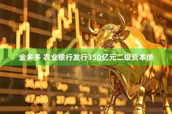 金多多 农业银行发行350亿元二级资本债